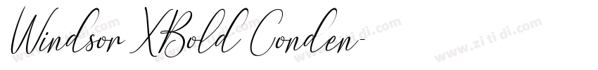 Windsor XBold Conden字体转换 Windsor XBold Conden字体转换